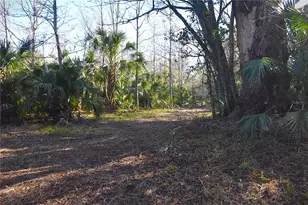 4721 Lingo Grove Rd, Edgewater, FL 32141 - Photo 1