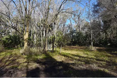 4721 Lingo Grove Road, Edgewater, FL 32141 - Photo 5