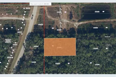 123 Honduras Avenue, Palatka, FL 32177 - Photo 1