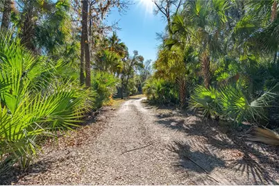 3180 Volco Road, Edgewater, FL 32141 - Photo 39