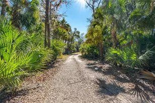 3180 Volco Rd, Edgewater, FL 32141 - Photo 39