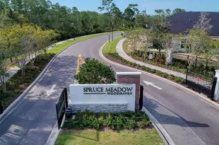 6321 Hanfield Dr, Port Orange, FL 32128 - Photo 73