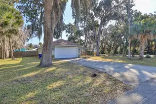 2531 Needle Palm Dr, Edgewater, FL 32141 - Photo 3
