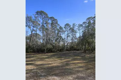 425 Western Road, New Smyrna Beach, FL 32168 - Photo 5