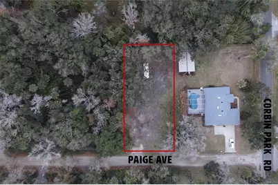 2124 Paige Avenue, New Smyrna Beach, FL 32168 - Photo 1