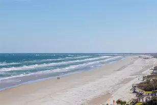 4631 S Atlantic Ave, Ponce Inlet, FL 32127 - Photo 19