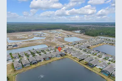 3004 Borassus Drive, New Smyrna Beach, FL 32168 - Photo 61