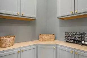 459 Pink Coral Ln, New Smyrna Beach, FL 32168 - Photo 13