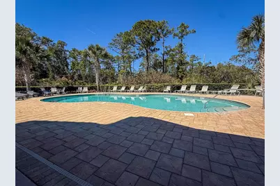 459 Pink Coral Lane, New Smyrna Beach, FL 32168 - Photo 49