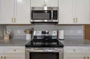 459 Pink Coral Ln, New Smyrna Beach, FL 32168 - Photo 11