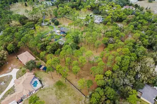 2333 Southern Pines Pl, Deland, FL 32724 - Photo 13