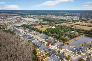 6807 Vintage Ln, Port Orange, FL 32128 - Photo 47