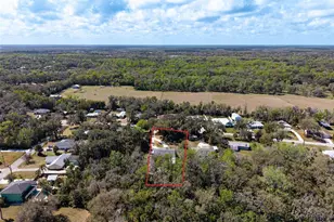 893 Bolton Rd, New Smyrna Beach, FL 32168 - Photo 67