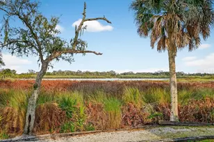 747 Navigators Way, Edgewater, FL 32141 - Photo 17