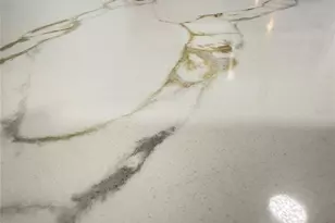 416 Plumosa Ave, Port Orange, FL 32127 - Photo 31