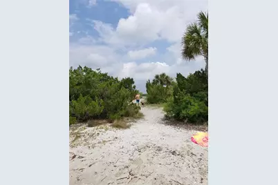 1709 Umbrella Tree Drive, Edgewater, FL 32132 - Photo 29