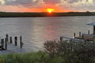 1709 Umbrella Tree Dr, Edgewater, FL 32132 - Photo 37