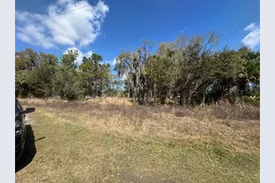 Wallace Road, New Smyrna Beach, FL 32168 - Photo 7