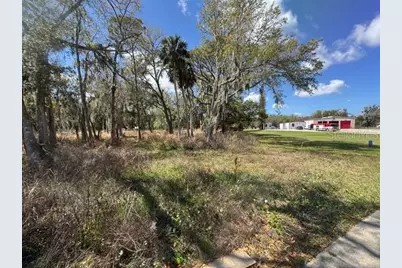 Wallace Road, New Smyrna Beach, FL 32168 - Photo 3