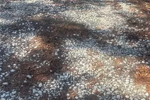 111 Cypress Pond Rd, Port Orange, FL 32128 - Photo 7