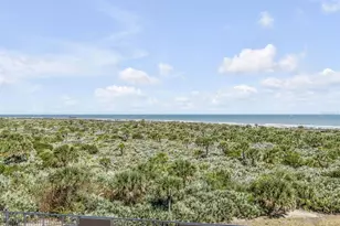 257 Minorca Beach Way, New Smyrna Beach, FL 32169 - Photo 43