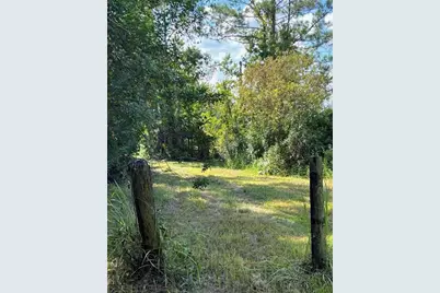 806 W Ariel Road, Edgewater, FL 32141 - Photo 11