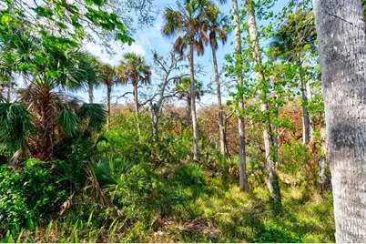 1508 Saxon Drive, New Smyrna Beach, FL 32169 - Photo 31