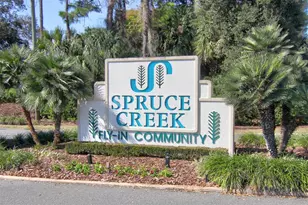 3114 Spruce Creek Blvd, Port Orange, FL 32128 - Photo 35