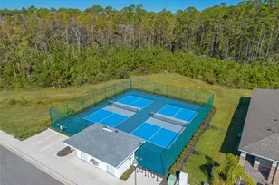 3207 Medici Blvd, New Smyrna Beach, FL 32168 - Photo 61