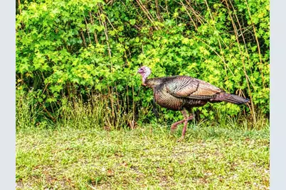 2329 Legacy Lane, New Smyrna Beach, FL 32168 - Photo 35