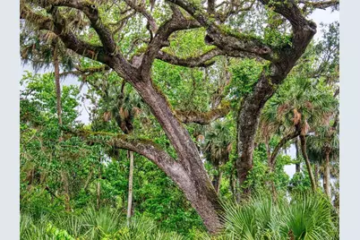 2329 Legacy Lane, New Smyrna Beach, FL 32168 - Photo 29