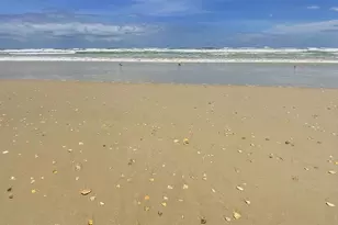 4501 S Atlantic Ave, New Smyrna Beach, FL 32169 - Photo 45