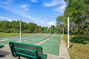 387 Marsh Landing Loop, Oak Hill, FL 32759 - Photo 31