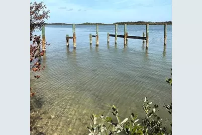 185 Jones Fish Camp Road, Edgewater, FL 32141 - Photo 9