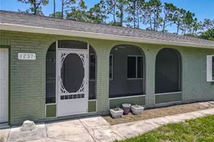 1237 Jeffery Dr, Port Orange, FL 32129 - Photo 49