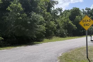 Cherry St, New Smyrna Beach, FL 32168 - Photo 1