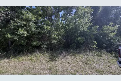 0 Cherry Street, New Smyrna Beach, FL 32168 - Photo 3