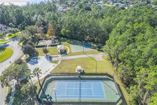 3029 Isola Bella Blvd, Mount Dora, FL 32757 - Photo 75
