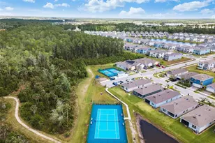 287 Caryota Ct, New Smyrna Beach, FL 32168 - Photo 53