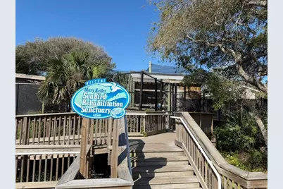 70 Ocean Way Drive, Ponce Inlet, FL 32127 - Photo 9