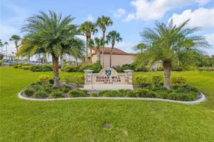 315 Eagles Eye Ct, New Smyrna Beach, FL 32168 - Photo 71