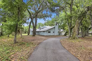 555 Wildwood Dr, New Smyrna Beach, FL 32168 - Photo 47