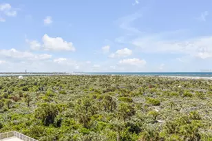 257 Minorca Beach Way, New Smyrna Beach, FL 32169 - Photo 47
