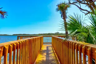 176 Jones Fish Camp Rd, Edgewater, FL 32141 - Photo 29