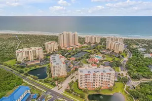 250 Minorca Beach Way, New Smyrna Beach, FL 32169 - Photo 67