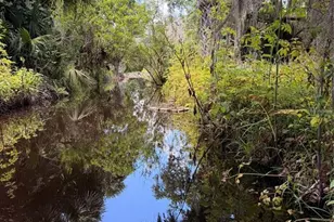 697 Eagle Watch Rd, Oak Hill, FL 32759 - Photo 13