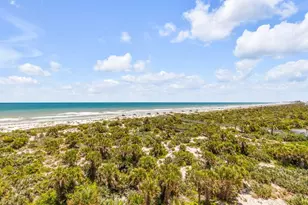 253 Minorca Beach Way, New Smyrna Beach, FL 32169 - Photo 37