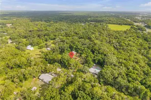 233 W Ariel Rd, Edgewater, FL 32141 - Photo 79