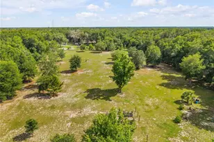 1167 Ohio St, De Leon Springs, FL 32130 - Photo 85