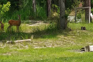 5074 Butternut Ave, Bunnell, FL 32110 - Photo 35